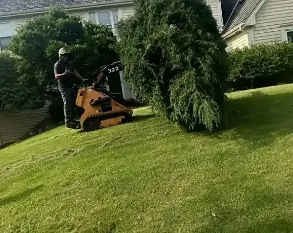 A man is standing next to a lawn mower with a tree in the background.