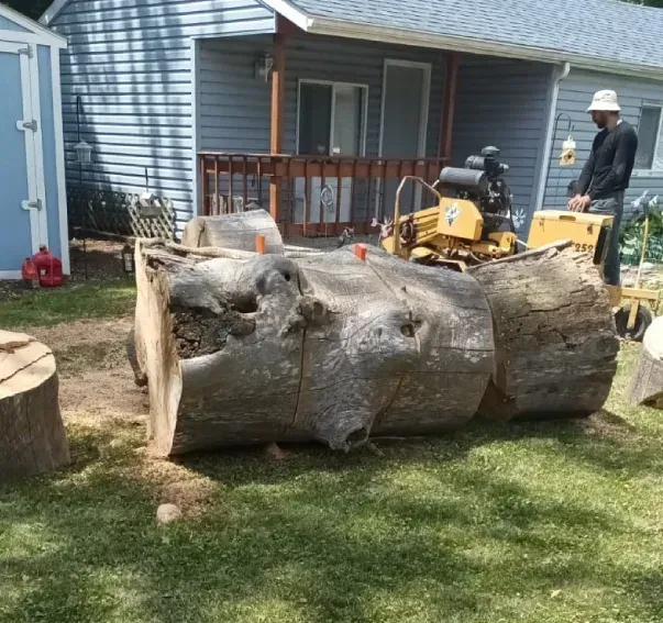 A man is standing next to a tractor cutting a tree in a yard.