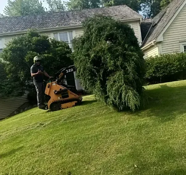 A man is standing next to a tractor cutting a tree in a yard.