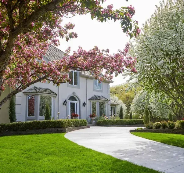 A white house with a lush green lawn and trees in front of it