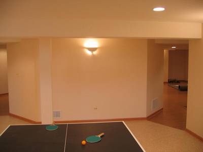 Ping Pong Area  — Home Project Consultation in Mount Prospect, IL