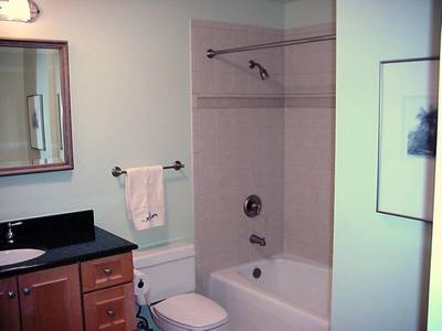 Bathroom  — Home Project Consultation in Mount Prospect, IL