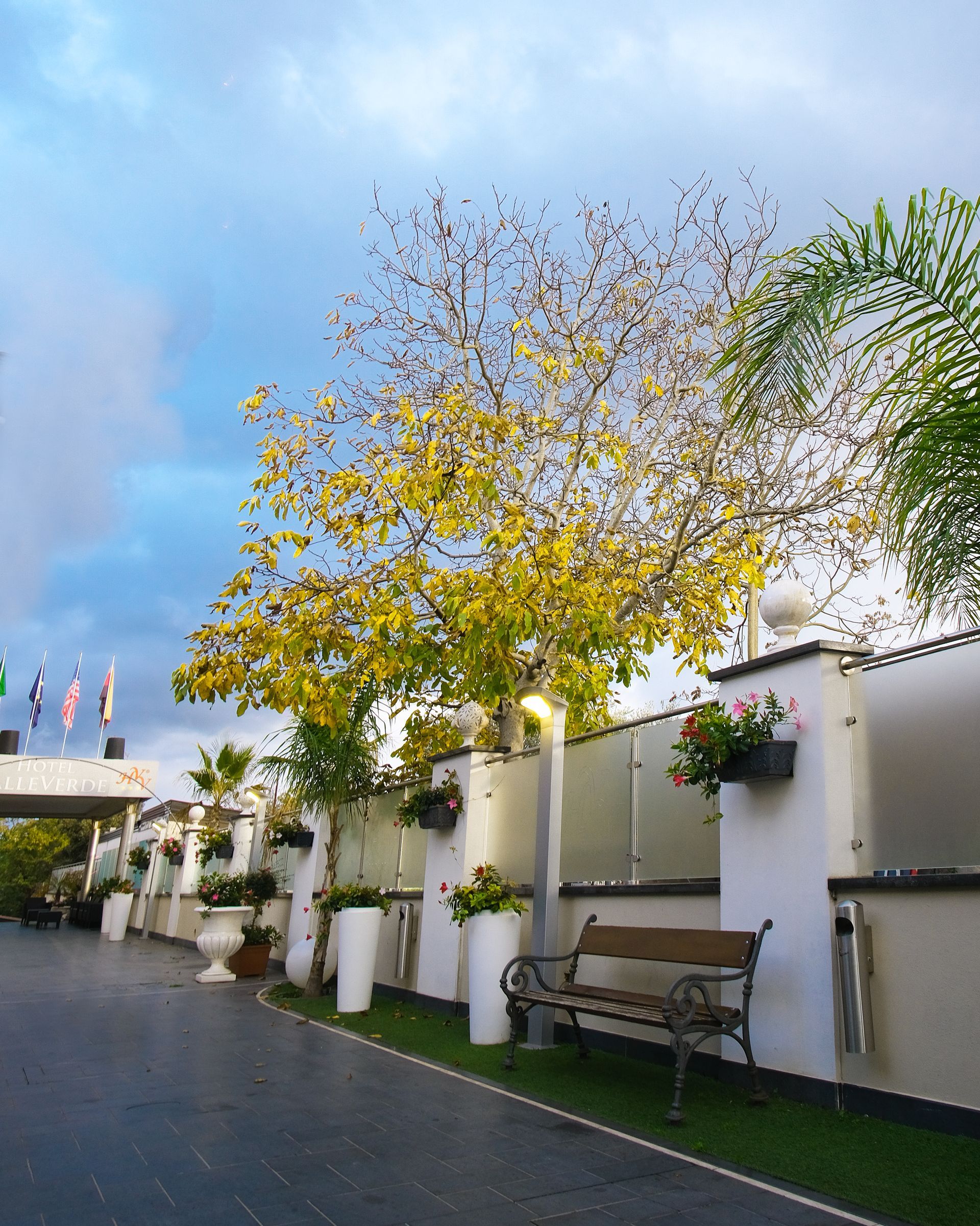 Albero con foglie gialle, muro bianco con vasi di fiori, panchina e sentiero sotto un cielo nuvoloso.
