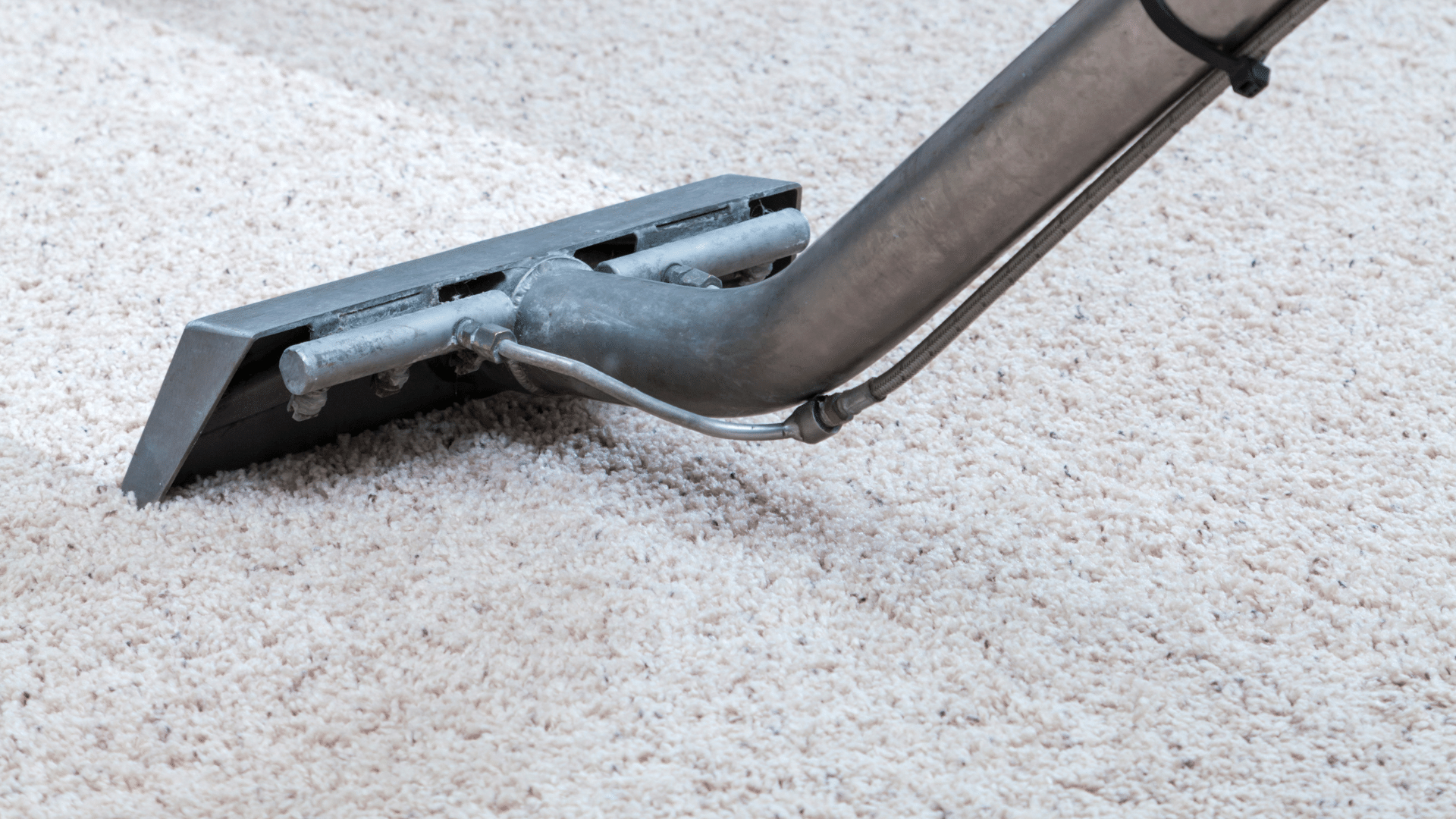 carpet cleaning 3
