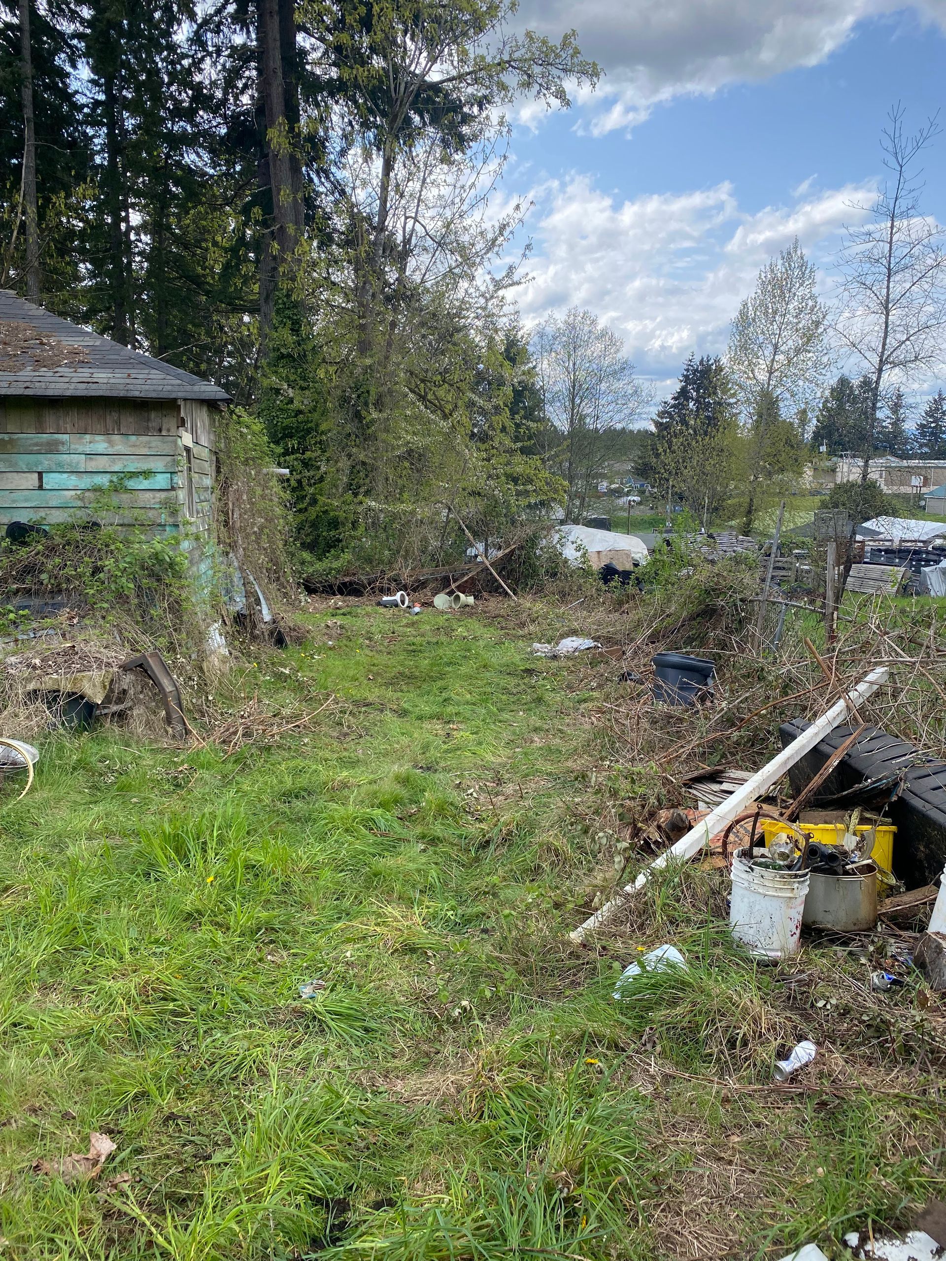 Grassy, overgrown lot with debris, a small shed, and trees under a cloudy sky.
