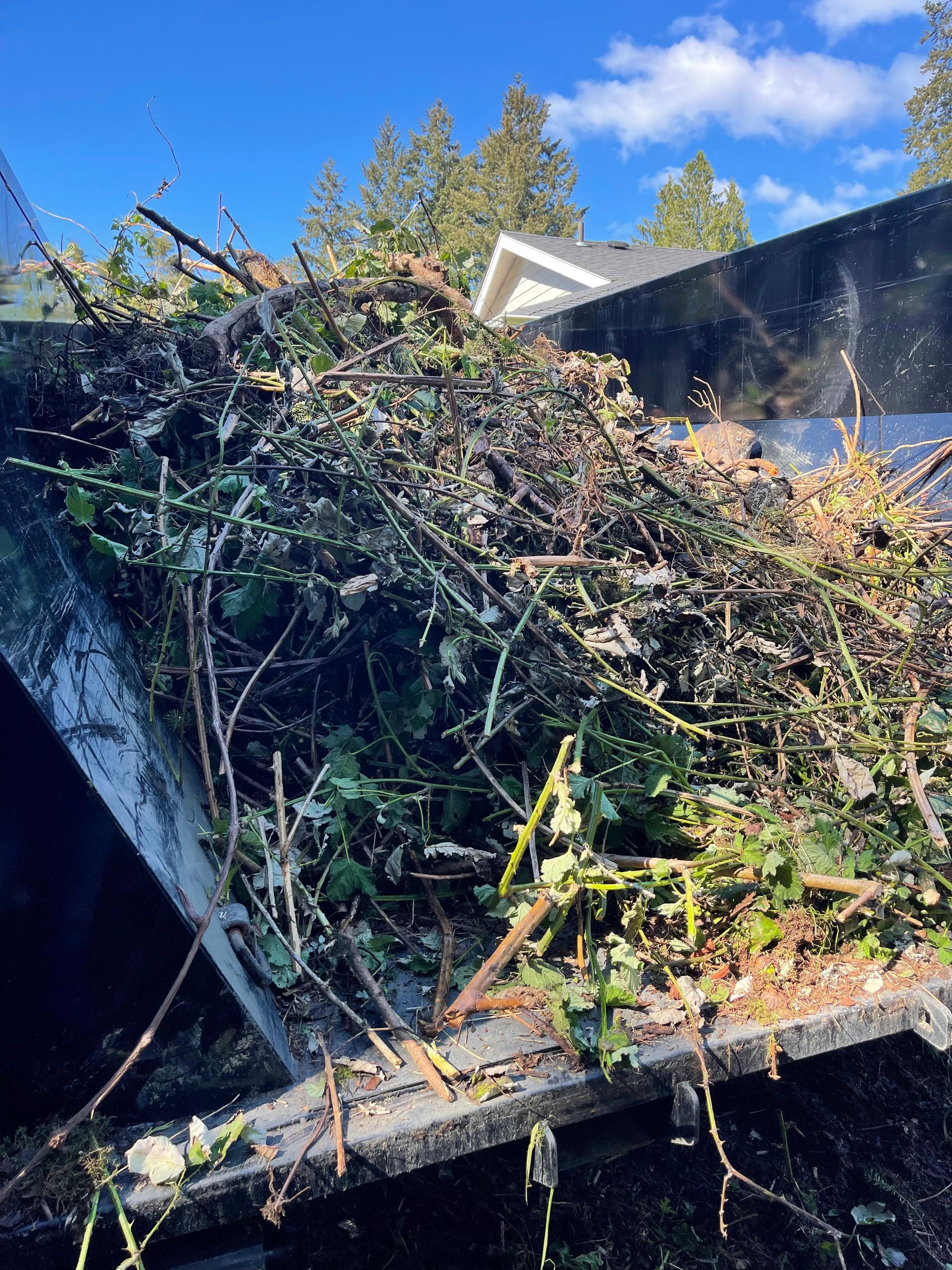 Branches and yard waste fill the bed of a black truck, under a blue sky.