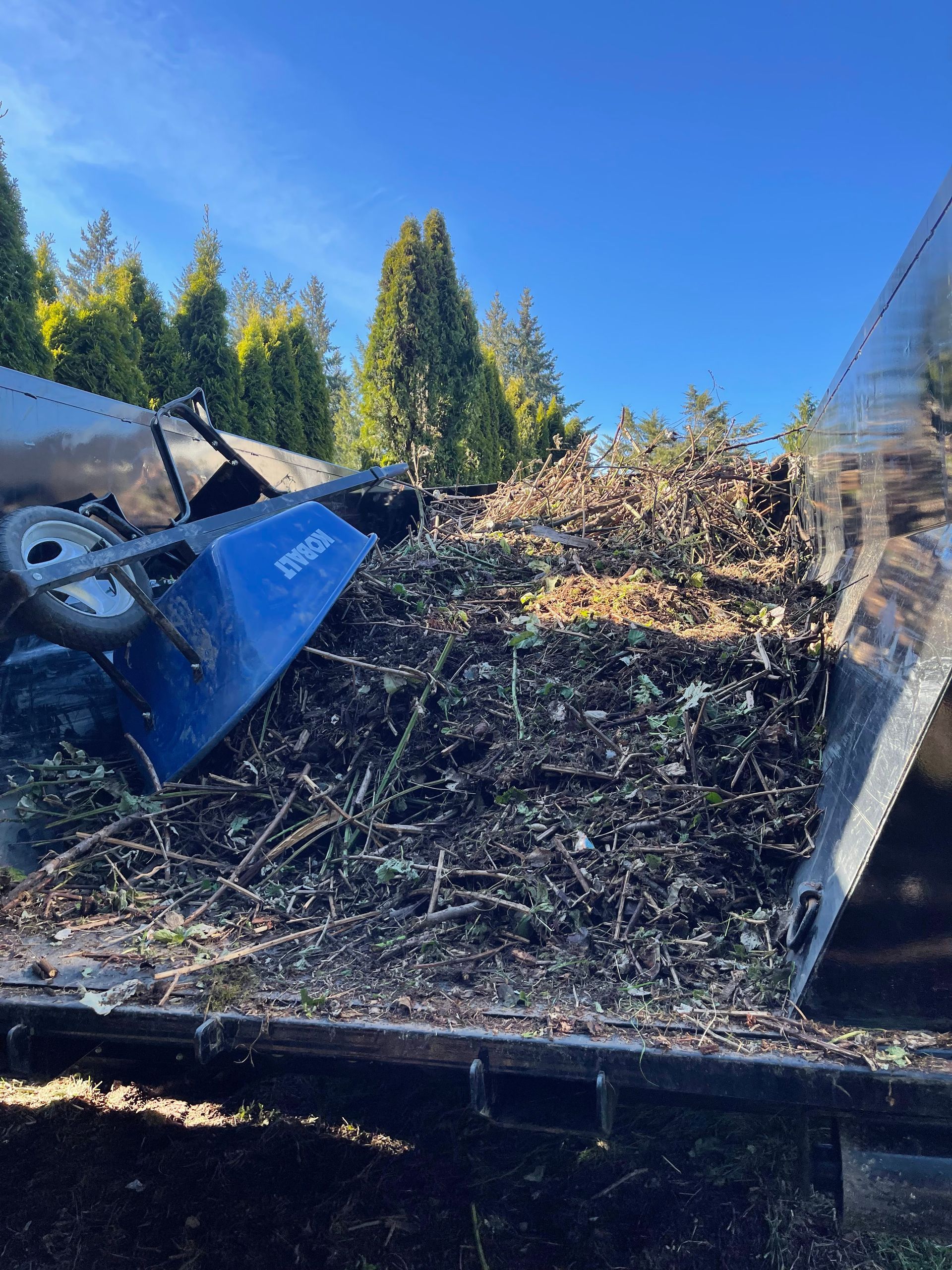 A truck bed overflowing with tree branches and brush under a clear blue sky.