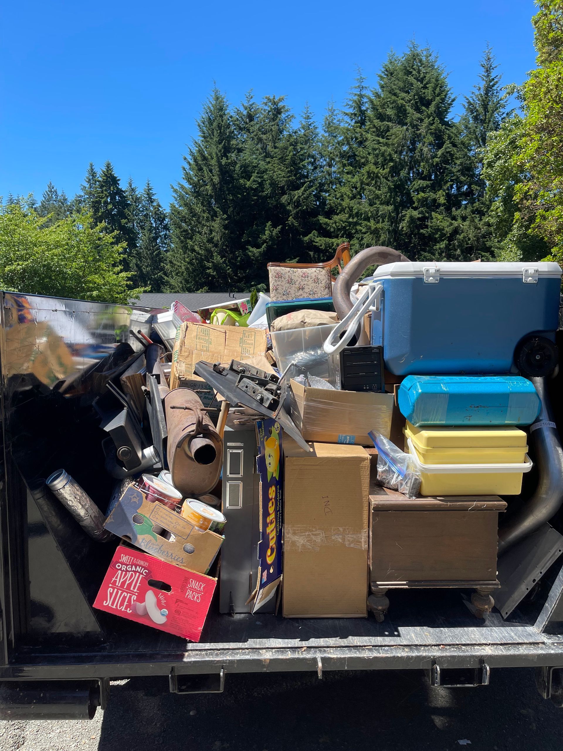 A black dumpster filled with various discarded items against a backdrop of trees and a bright blue sky.