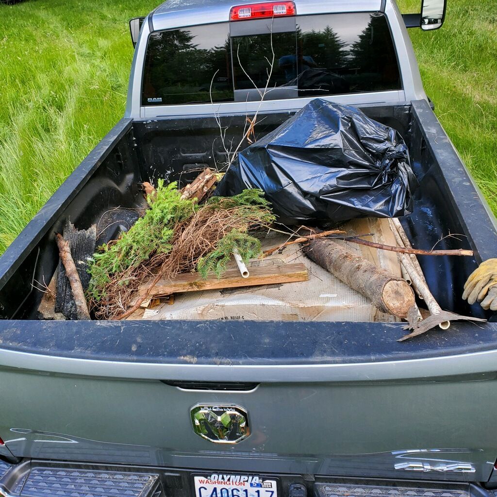 Truck bed filled with branches, logs, and a black trash bag on green grass.