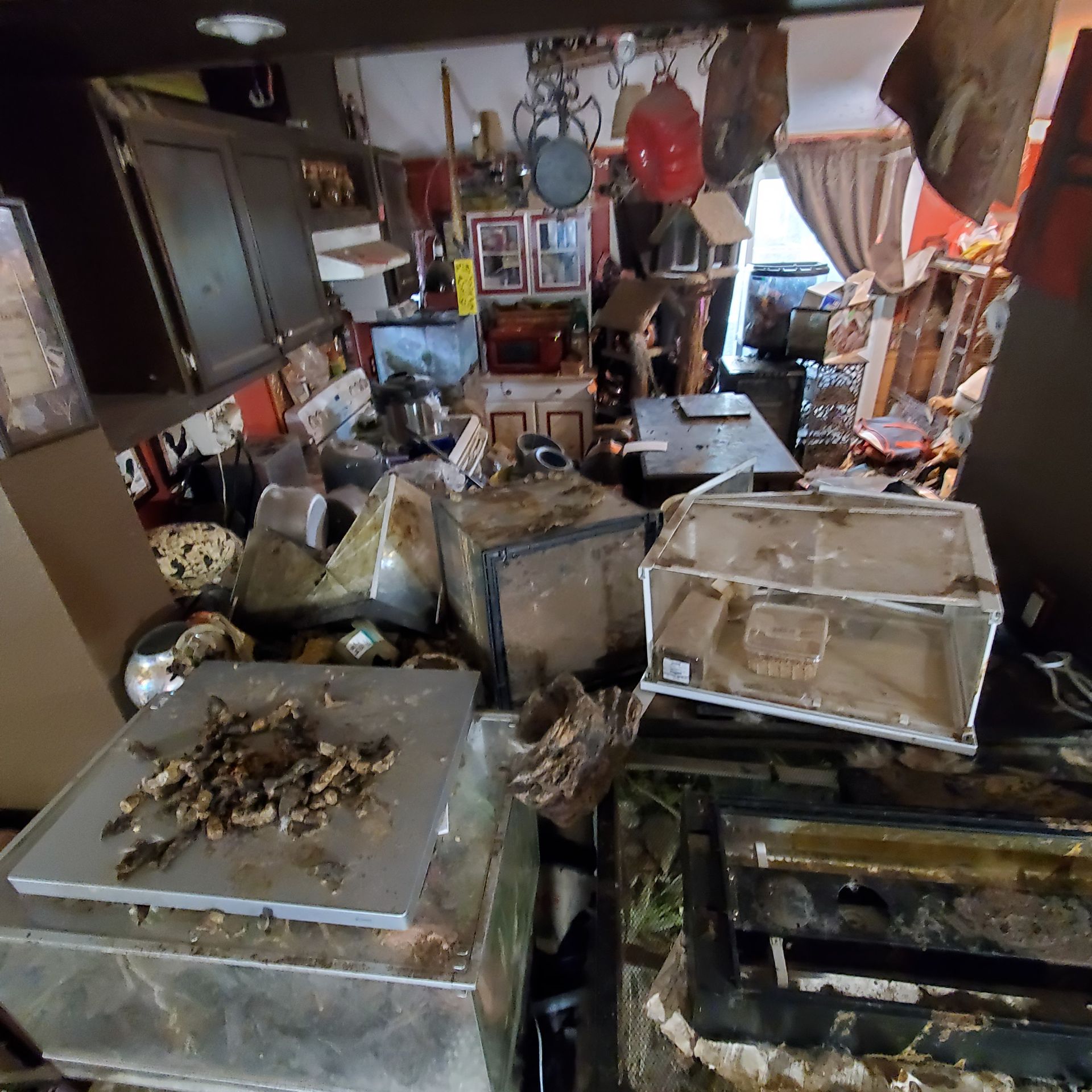 A cluttered room with overturned terrariums, various objects, and a red helmet hanging from the ceiling.