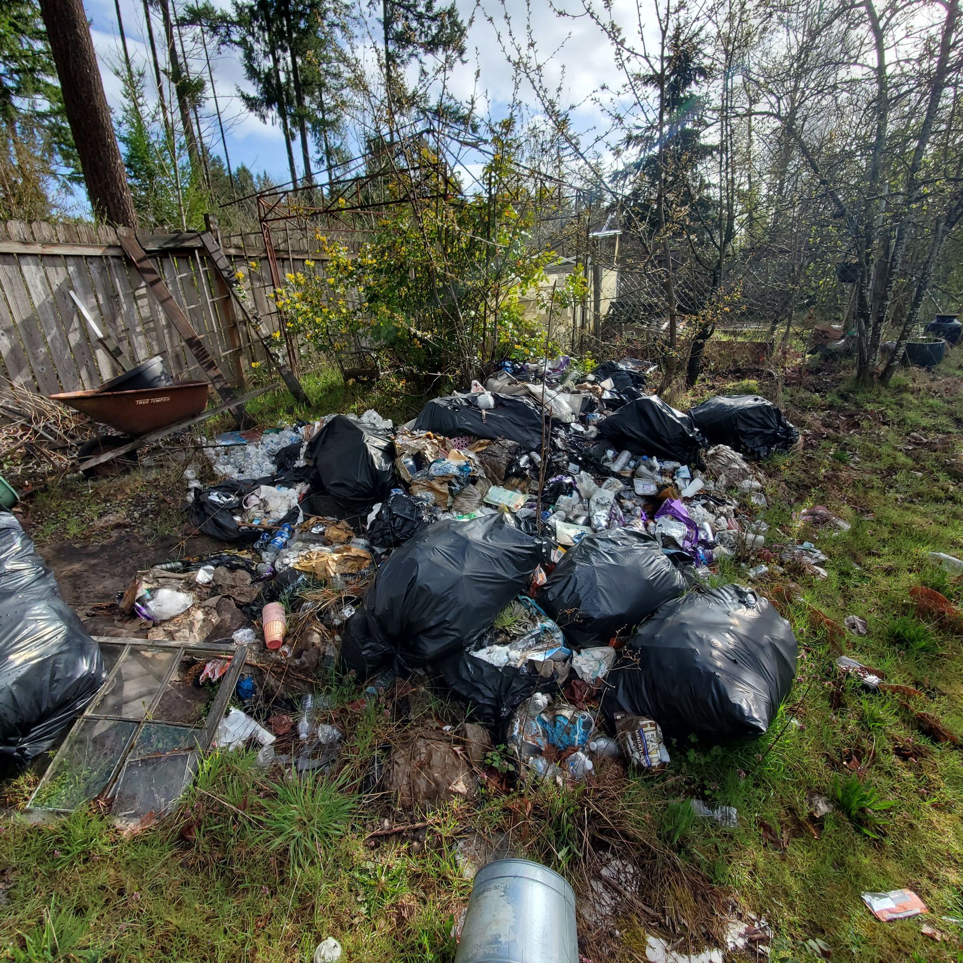Pile of trash bags and scattered debris in a grassy yard with a wooden fence and trees.