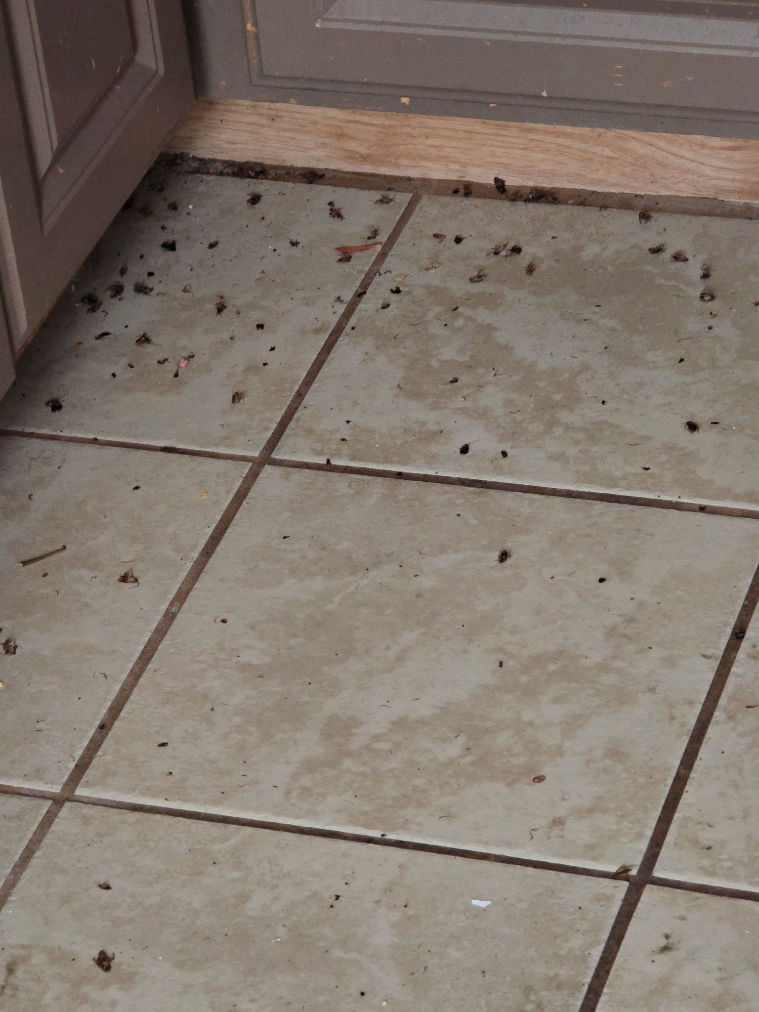 Dirty tiled floor near kitchen cabinet with scattered debris.