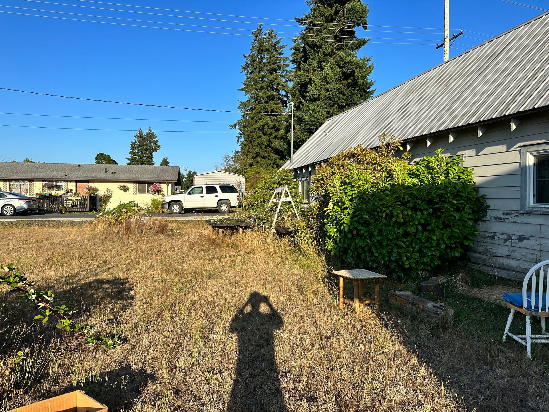 A sunny outdoor scene with overgrown grass, a building, a vehicle, and the shadow of a person taking the photo.