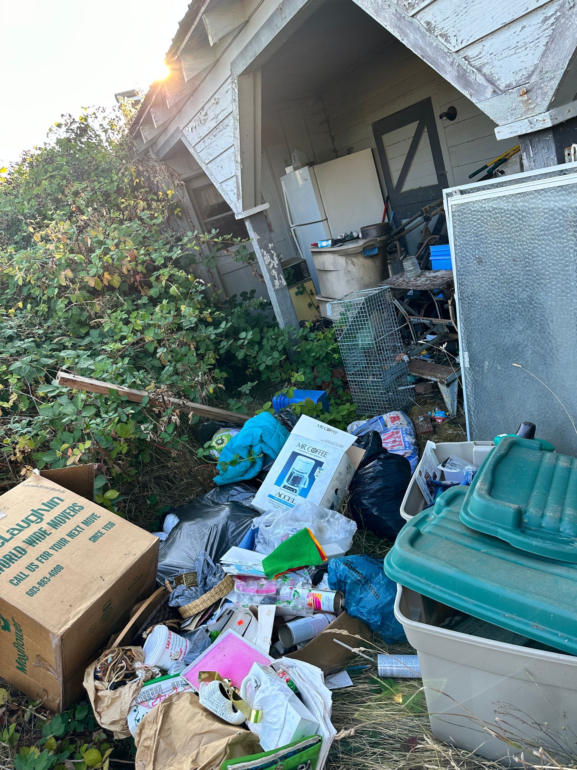 Pile of trash and debris in front of a cluttered building, with overgrown bushes and sunlight.