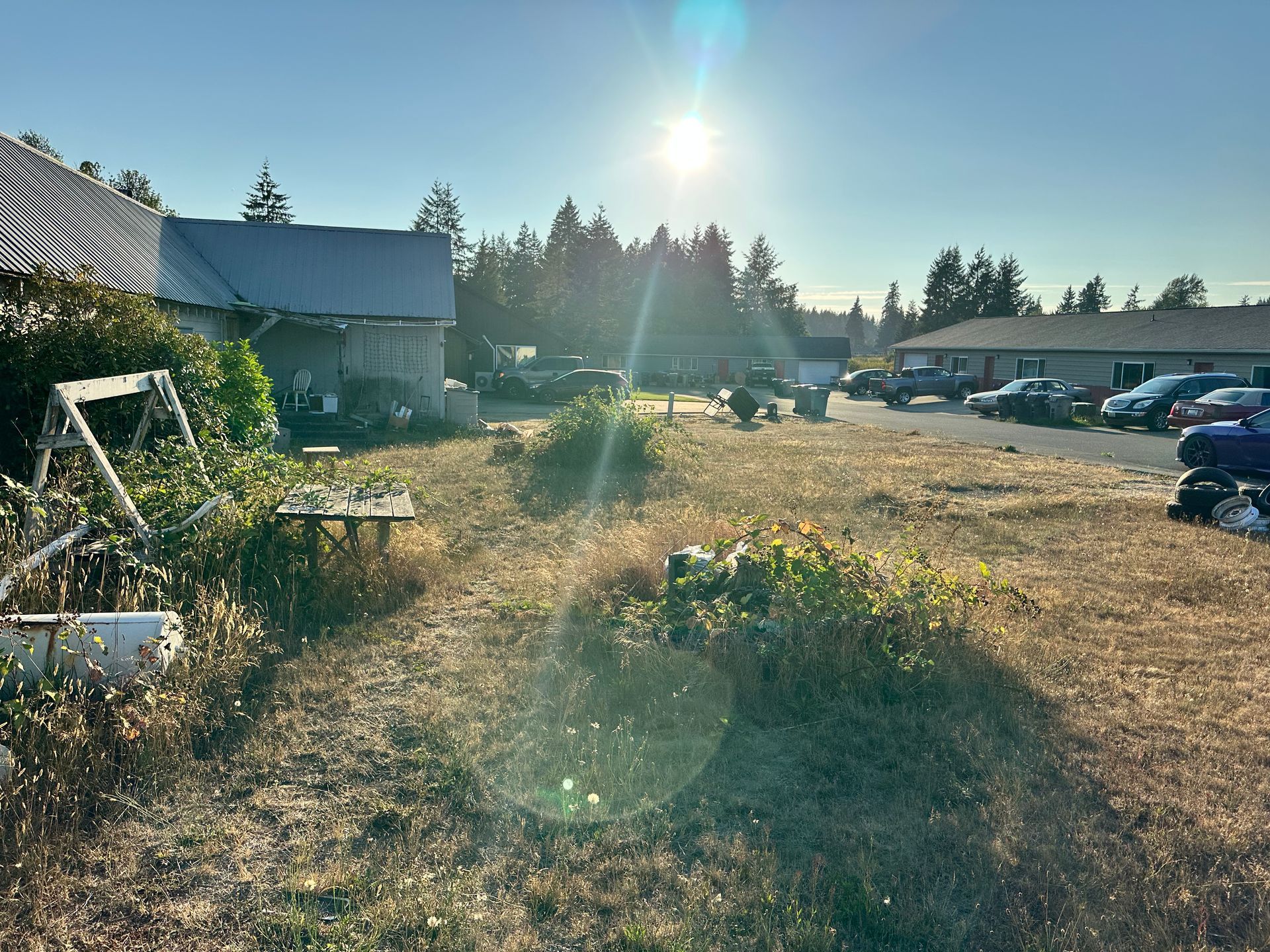Sunny outdoor scene with a barn, overgrown grass, and parked cars.