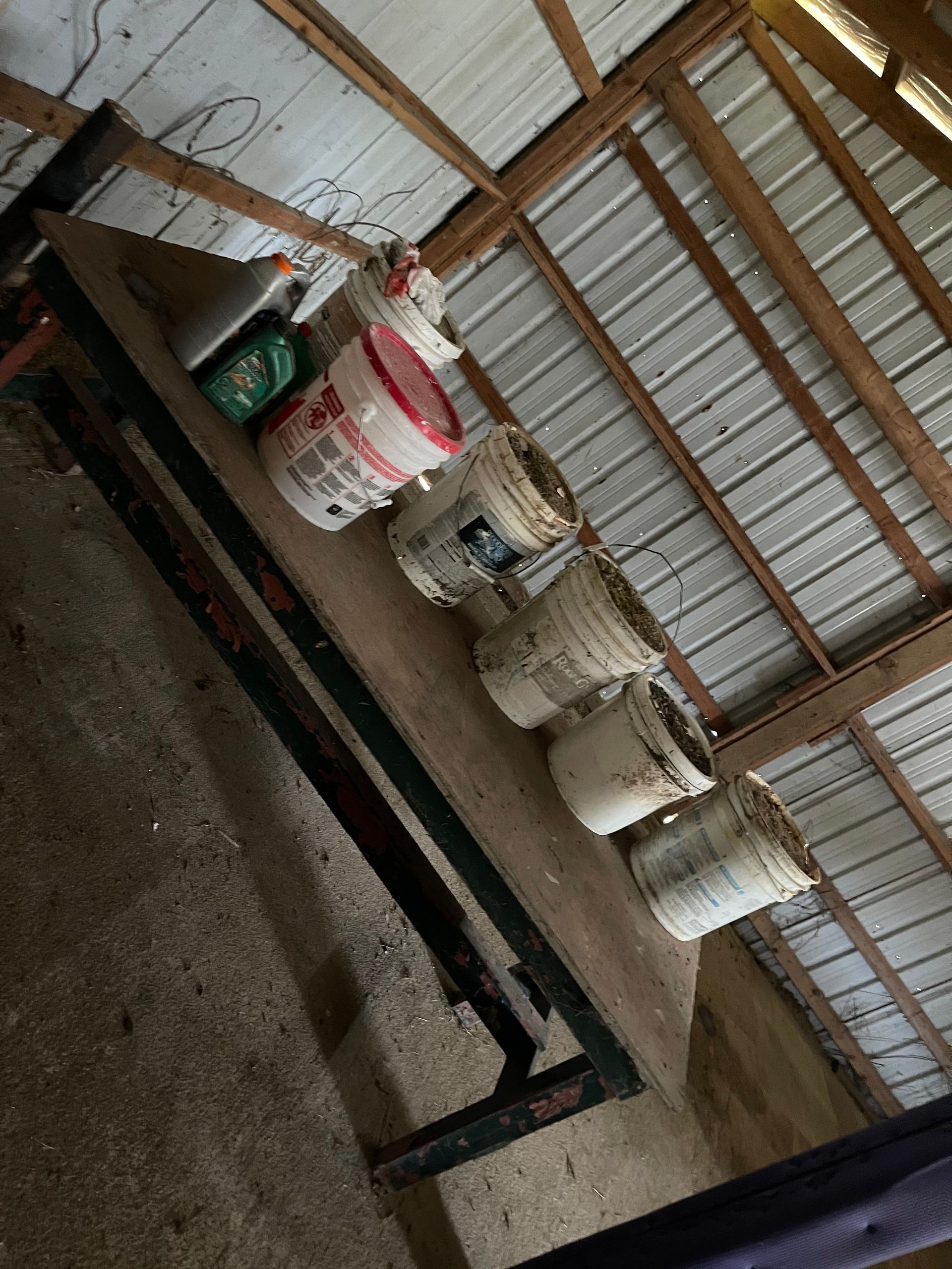 Long wooden table with several buckets inside a shed.