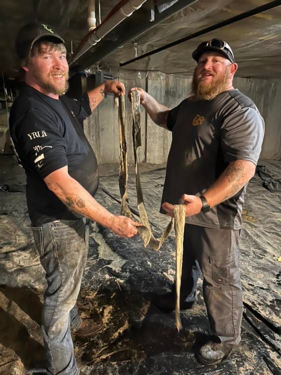 Two men are standing next to each other holding a snake.