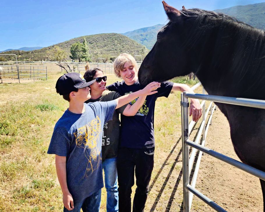 Horse Assisted Counseling