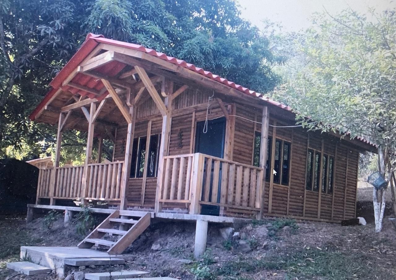 Cabaña de madera con techo rojo, porche delantero y escalones que conducen a la entrada, rodeada de árboles.