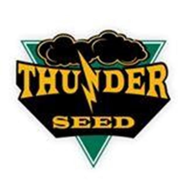 Thunder Seed logo