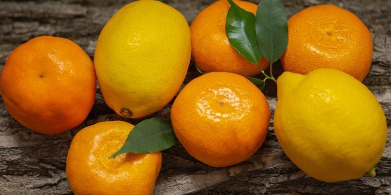 Frutas cítricas, usos en la industria alimentaria | Alimentos SAS