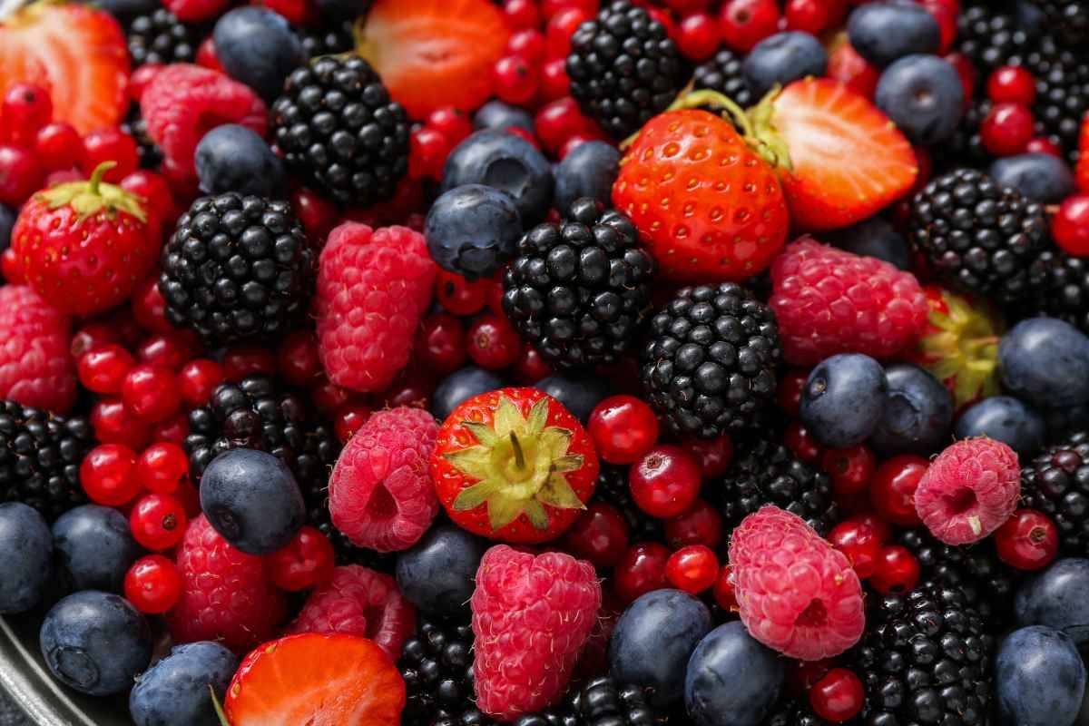 Frutas silvestres en puré: ventajas y usos | Alimentos SAS