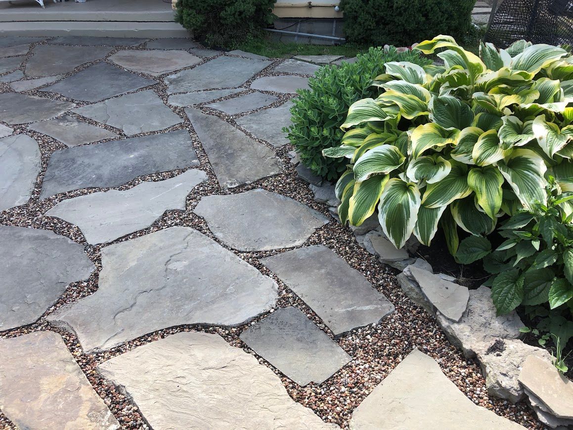 Flagstone path with small gravel between stones, next to green and white hosta plants.