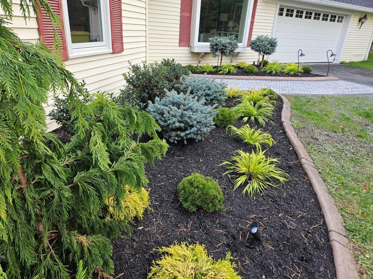 Front yard with flower bed: green and blue shrubs, yellow plants, black mulch, and a brown border.