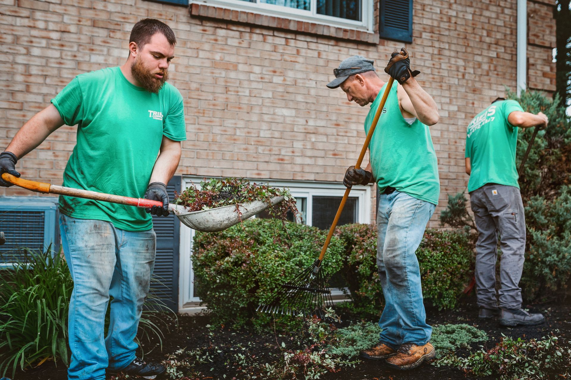 Three people wearing green shirts and jeans are gardening in front of a brick building.