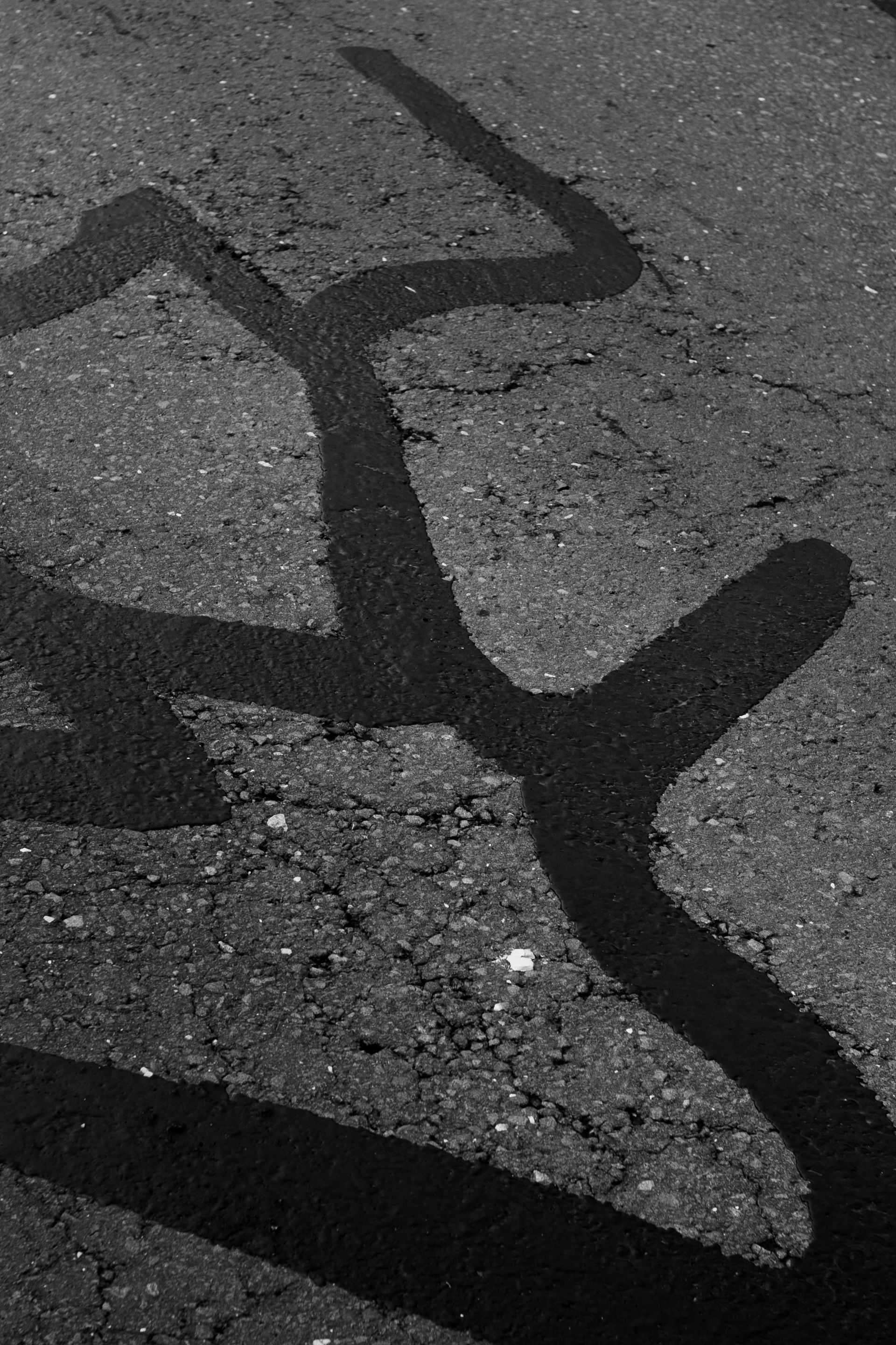 Black and white photo of asphalt with a dark, winding shadow across it.