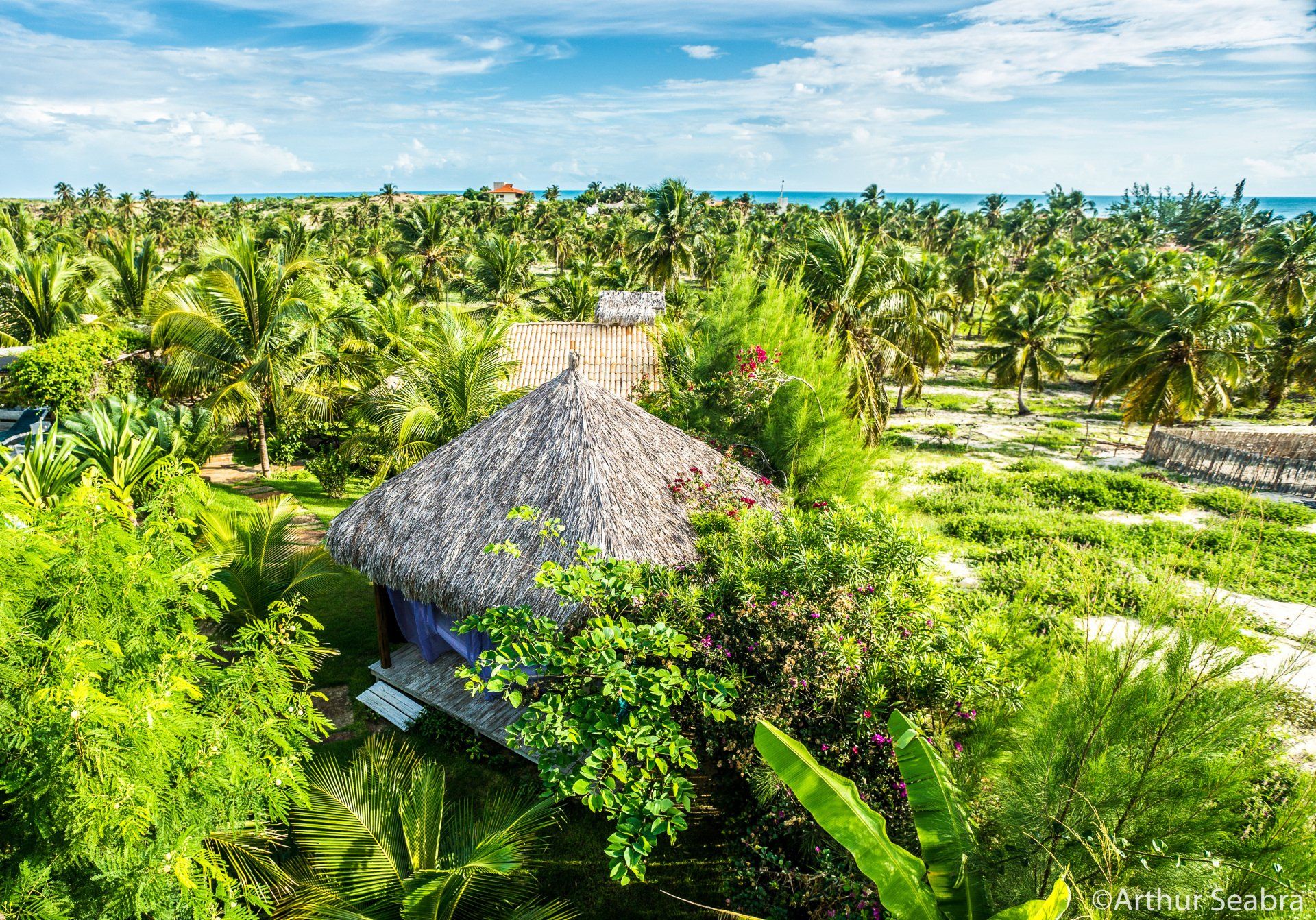 Uma vista aérea de uma cabana de palha no meio de uma floresta verdejante.