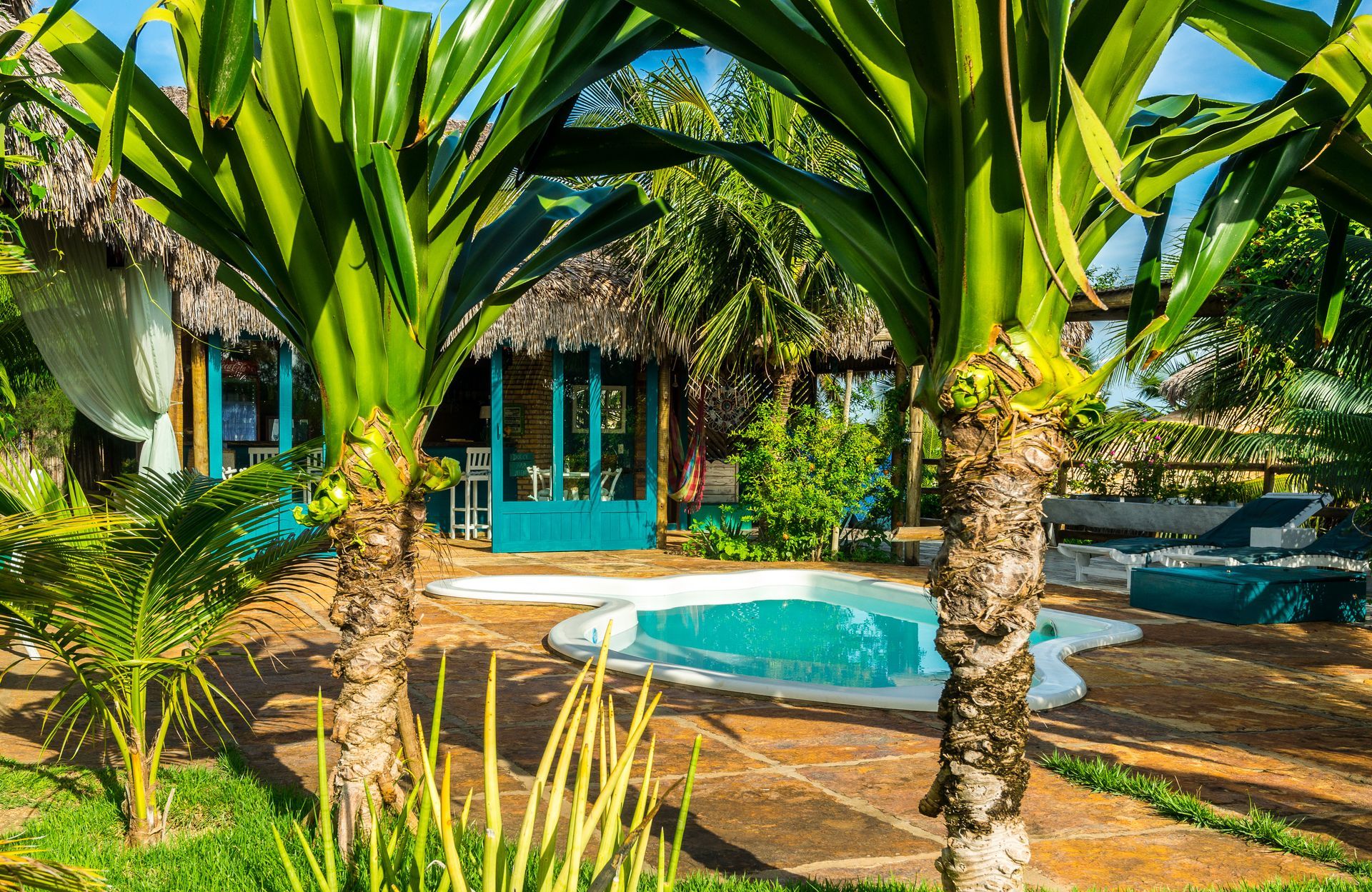 Uma piscina cercada por palmeiras em frente a uma casa.