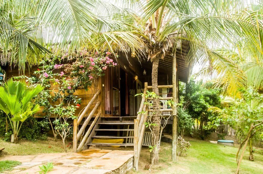 Uma pequena casa de madeira com escadas que levam até ela é cercada por palmeiras.