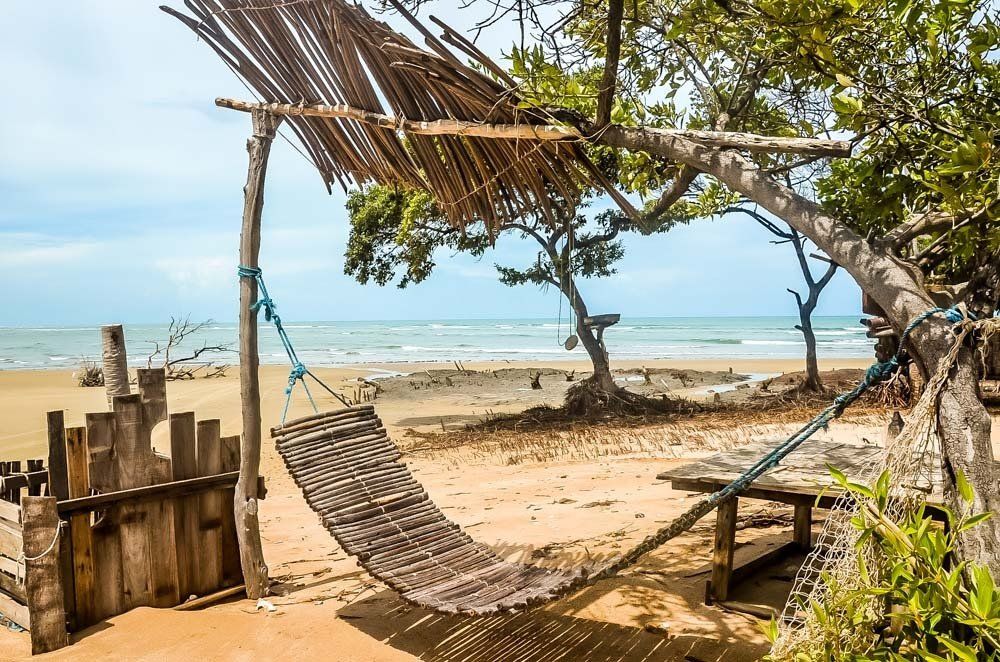 Uma rede está pendurada em uma árvore na praia.
