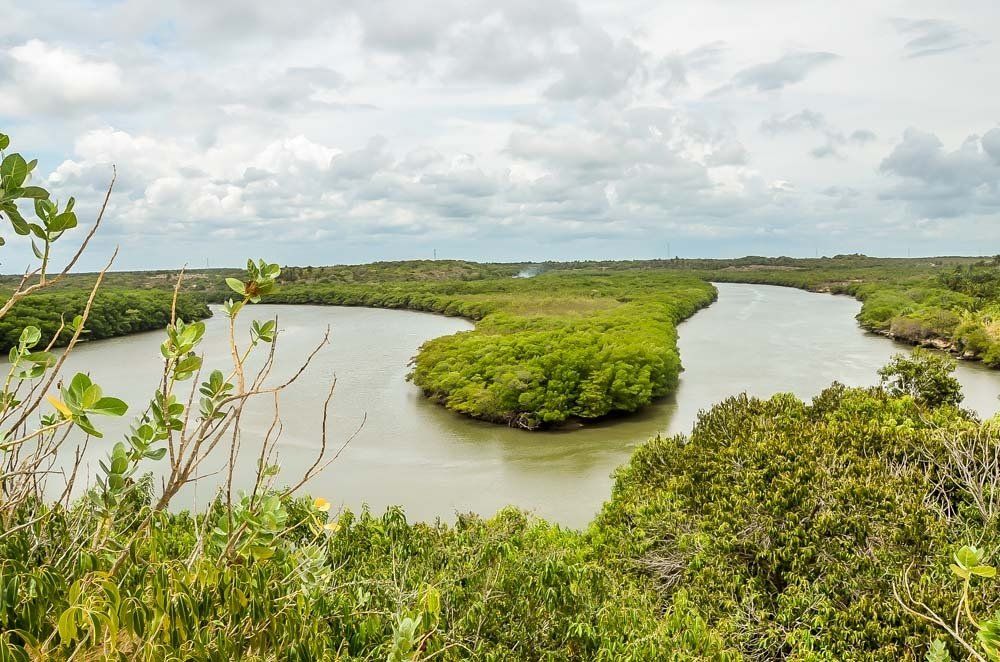 Um rio com uma pequena ilha no meio cercada por árvores.