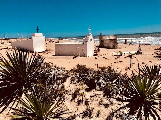 Um cemitério em uma praia de areia com palmeiras em primeiro plano