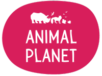 Week 5 Animal Planet