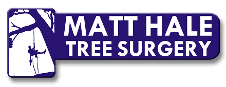 Matt Hale Tree Surgery logo