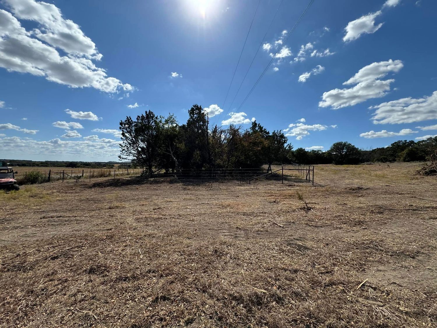 Grassy field under a bright blue sky with scattered clouds and a small cluster of trees.