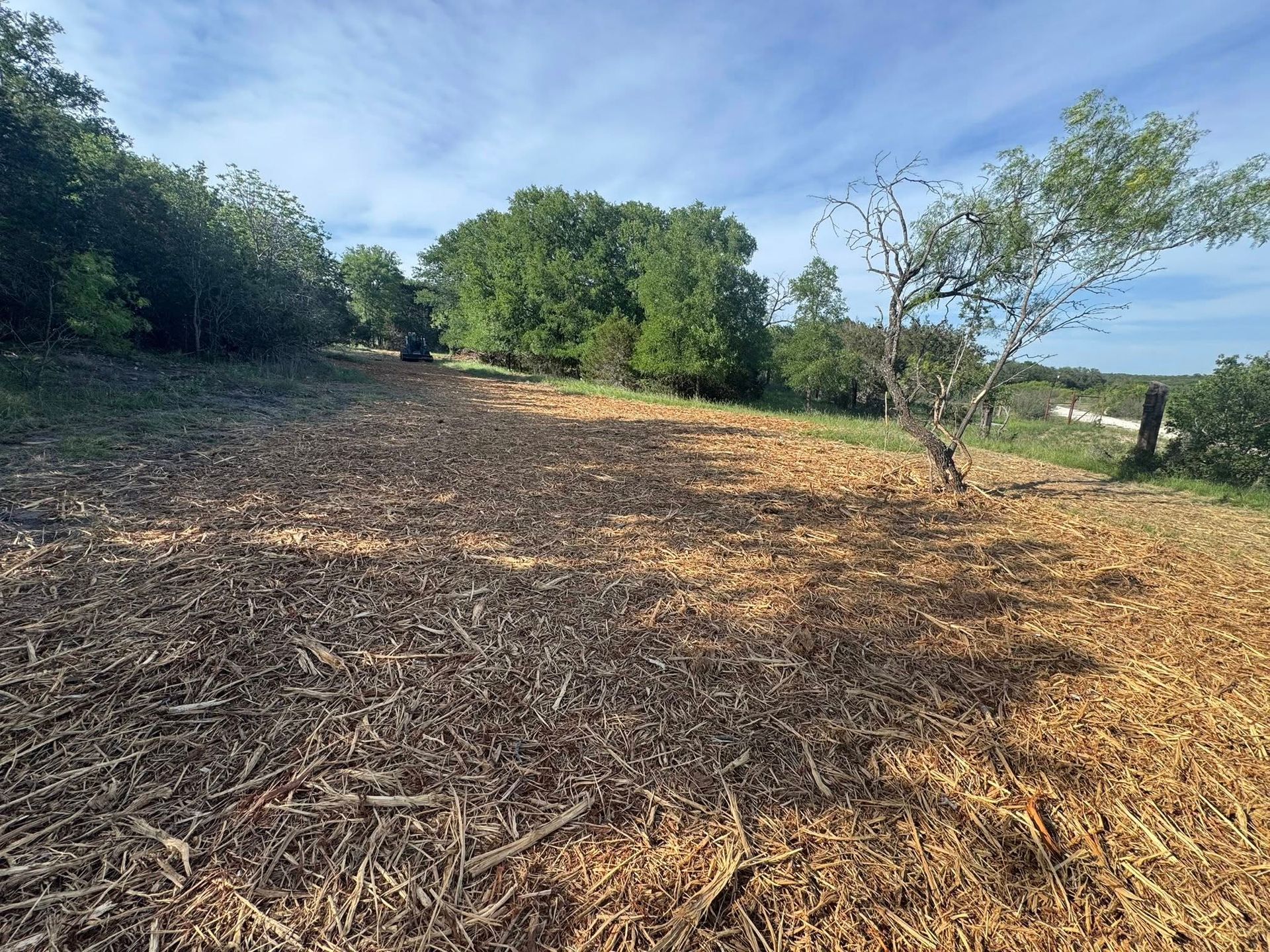 Wood chips cover a cleared area, trees line the edges, and a tree stands on the right against a partly cloudy sky.