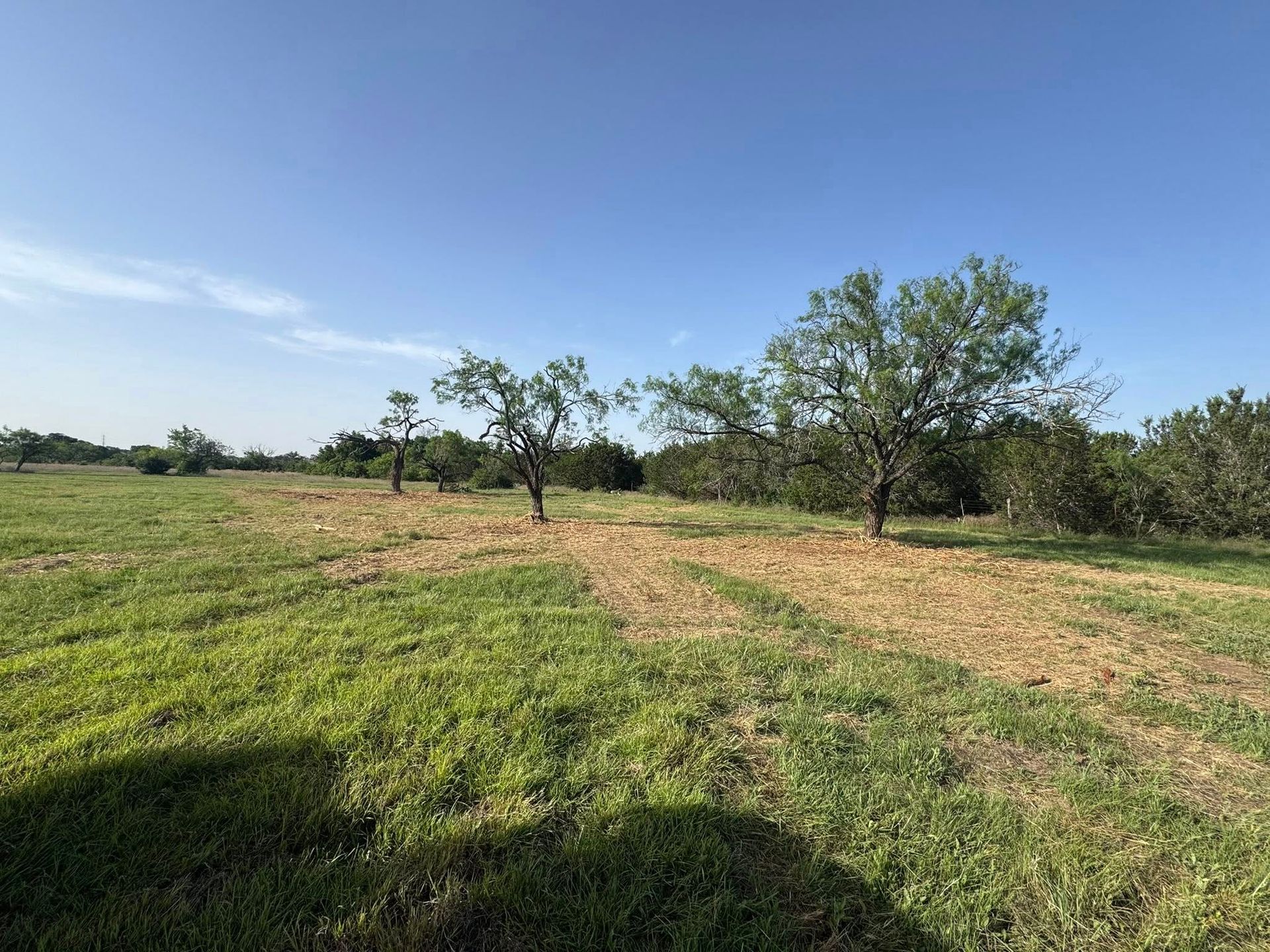 Green field with trees under a blue sky. Some areas show a brown, cut field.