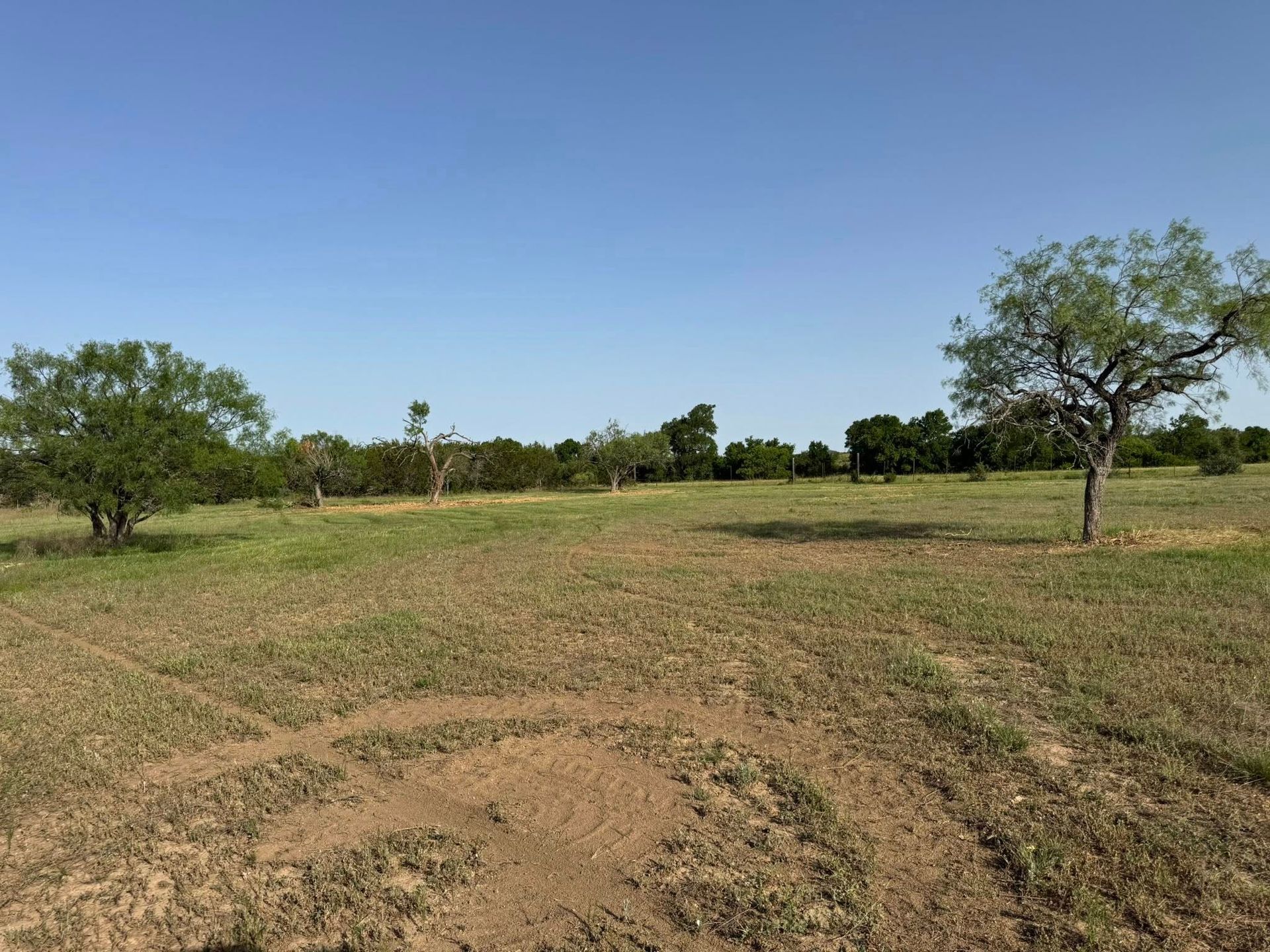 Open field with sparse vegetation, scattered trees, and a clear blue sky.