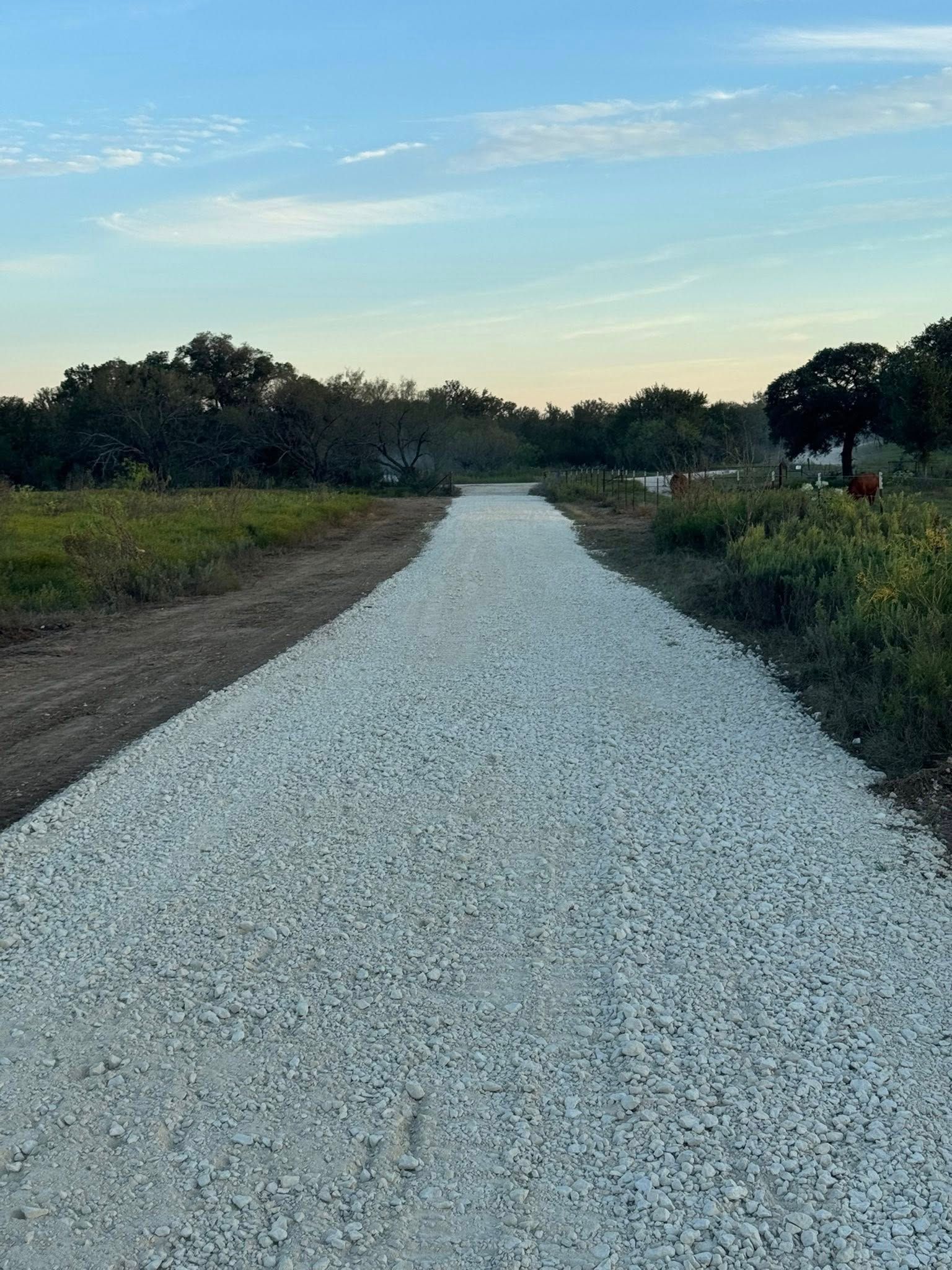 Gravel path through a field with trees under a blue sky.