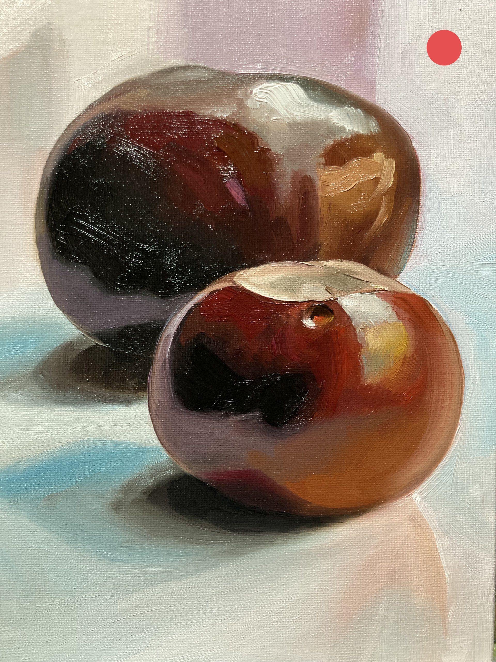 Conkers 11&12 (Sixers)