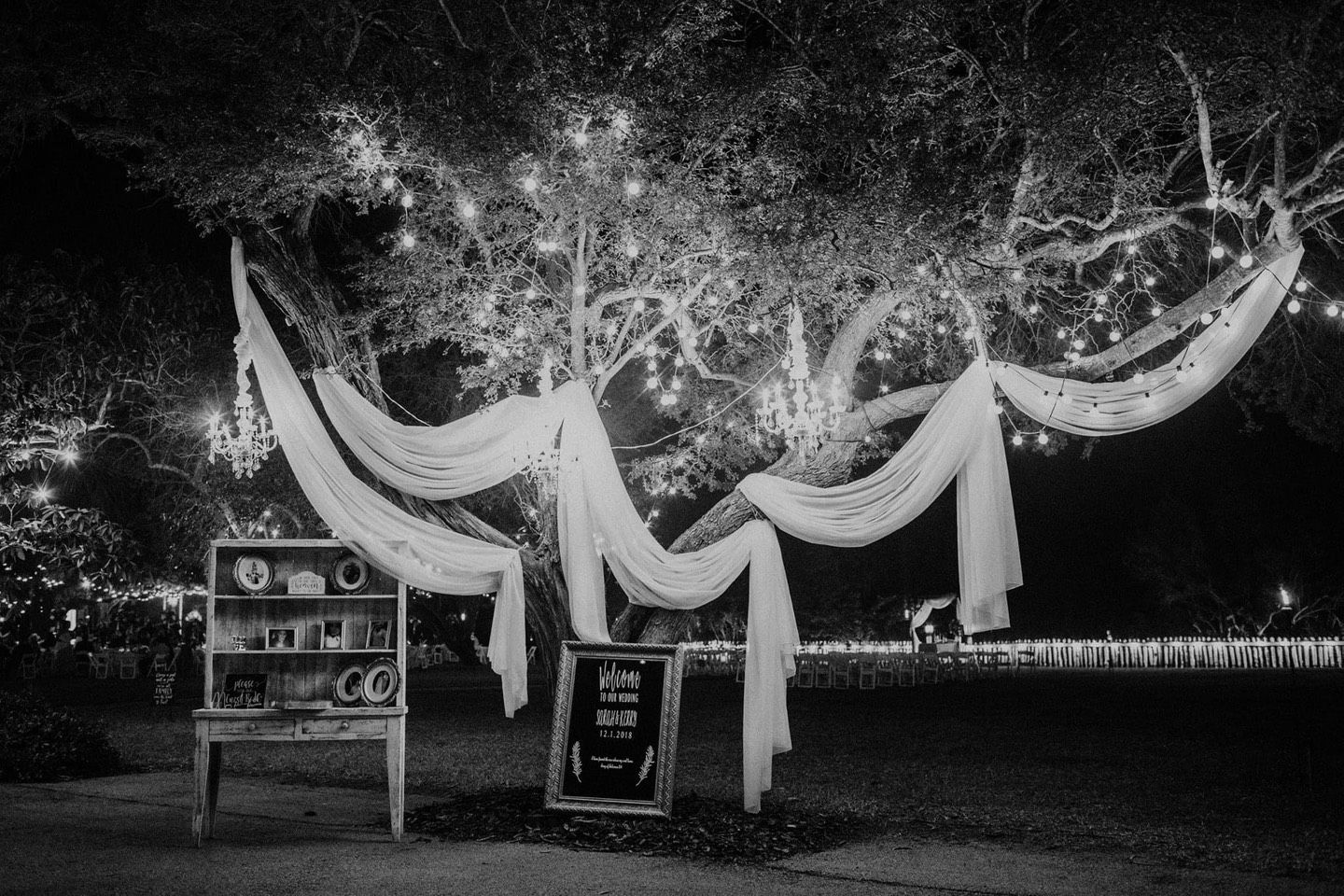 A Black and White Photo of A Tree Decoration — Mission, TX — Soiree