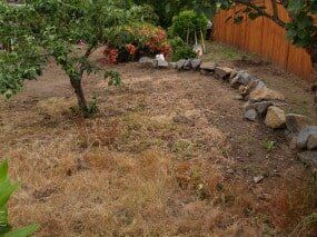 A dry, brown yard with a small tree and rock border. 