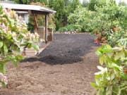 Backyard with dark soil patch, a small shed, and surrounding greenery.