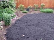 A mulched garden bed with various plants and a wooden fence backdrop.
