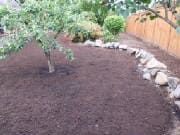 Mulched garden bed with small tree, shrubs, and rock border. 