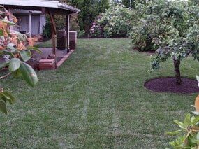Green lawn with a small tree and a covered patio area in the background.